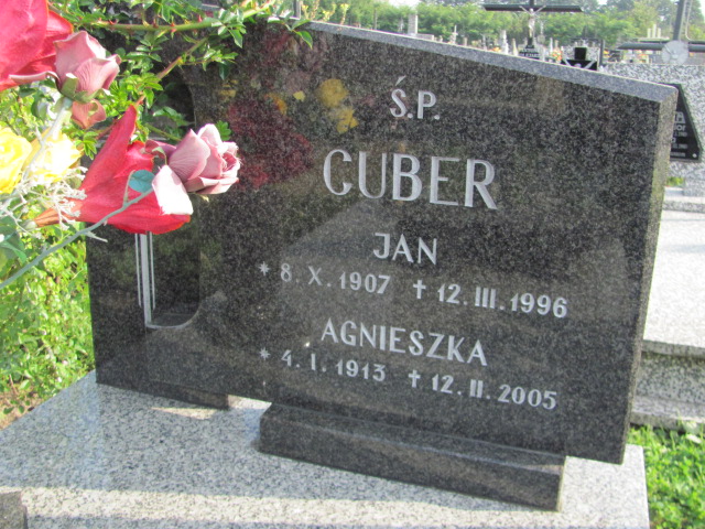 Agnieszka Cuber 1913 Stany - Grobonet - Wyszukiwarka osób pochowanych