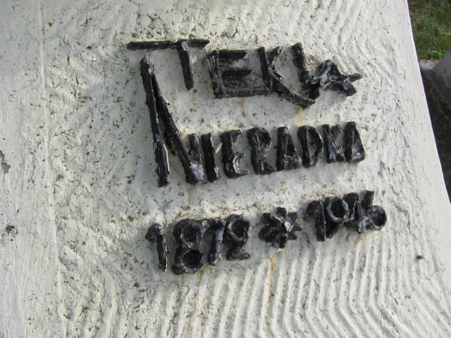 Tekla Nieradka 1878 Stany - Grobonet - Wyszukiwarka osób pochowanych