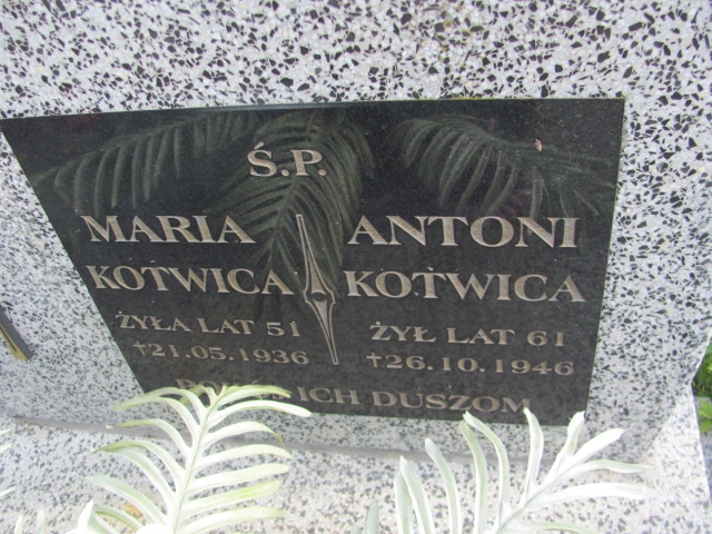 Maria Kotwica Stany - Grobonet - Wyszukiwarka osób pochowanych