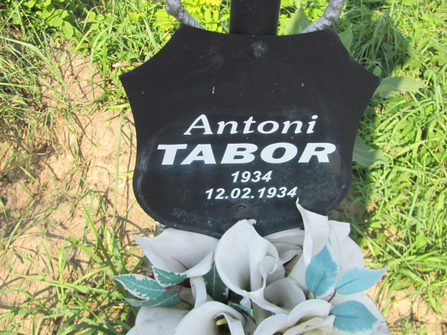 Antoni Tabor 1933 Stany - Grobonet - Wyszukiwarka osób pochowanych