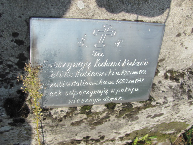 Feliks Malinowski 1859 Stany - Grobonet - Wyszukiwarka osób pochowanych